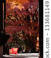 Fire bucket and autumn leaves at Tsugikao Kannon Jakkoin Temple 133681149