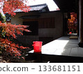 Fire bucket and autumn leaves at Tsugikao Kannon Jakkoin Temple 133681151