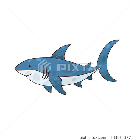 illustration of Shark 133681377