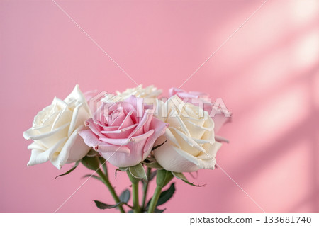 陽光灑在白粉紅的玫瑰花上,情人節、母親節、婦女節、生日、週年紀念日、結婚紀念日——浪漫的海洋新聞廣播公告素材 陽光灑在白粉紅的玫瑰花上,情人節、母親節、婦女節、生日、週年紀念日、結婚紀念日——浪漫的海洋新聞廣播公告素材 133681740