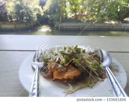 Crispy omelette with bean sprouts and herbs on plate by riverside table, fresh and savory Crispy omelette with bean sprouts and herbs on plate by riverside table, fresh and savory 133681808