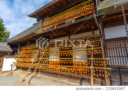 高野家舊宅「甘草屋」出產山梨縣甲州市特產柿餅 高野家舊宅「甘草屋」出產山梨縣甲州市特產柿餅 133681967