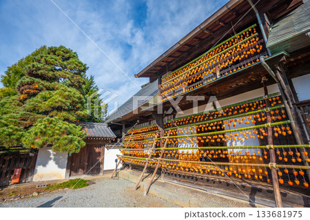 Former Takano Family Residence "Licorice House" Dried persimmons, a specialty of Koshu City, Yamanashi Prefecture 133681975