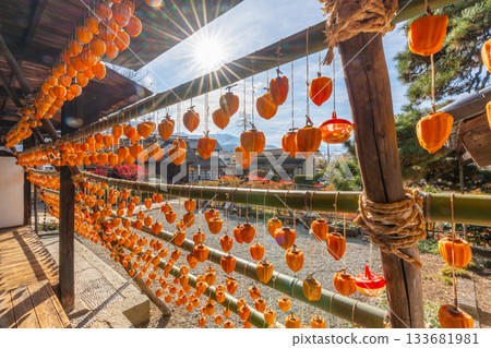Former Takano Family Residence "Licorice House" Dried persimmons, a specialty of Koshu City, Yamanashi Prefecture 133681981