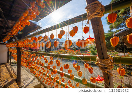 Former Takano Family Residence "Licorice House" Dried persimmons, a specialty of Koshu City, Yamanashi Prefecture 133681982