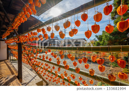 Former Takano Family Residence "Licorice House" Dried persimmons, a specialty of Koshu City, Yamanashi Prefecture Former Takano Family Residence "Licorice House" Dried persimmons, a specialty of Koshu City, Yamanashi Prefecture 133681994