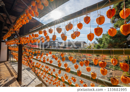 Former Takano Family Residence "Licorice House" Dried persimmons, a specialty of Koshu City, Yamanashi Prefecture 133681995