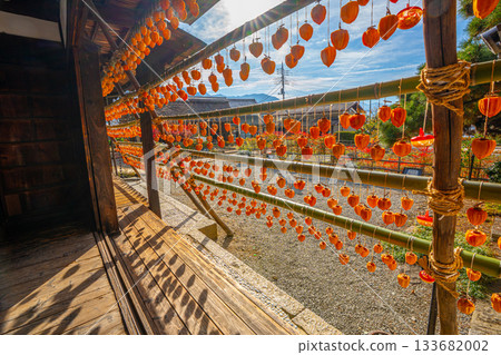 Former Takano Family Residence "Licorice House" Dried persimmons, a specialty of Koshu City, Yamanashi Prefecture 133682002