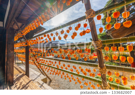 高野家舊宅「甘草屋」出產山梨縣甲州市特產柿餅 133682007