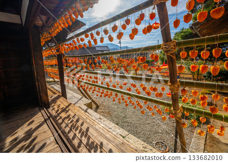 高野家舊宅「甘草屋」出產山梨縣甲州市特產柿餅 133682010