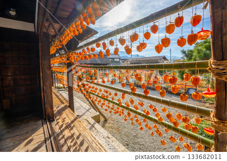 Former Takano Family Residence "Licorice House" Dried persimmons, a specialty of Koshu City, Yamanashi Prefecture Former Takano Family Residence "Licorice House" Dried persimmons, a specialty of Koshu City, Yamanashi Prefecture 133682011