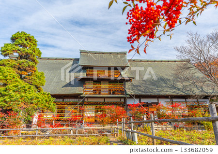 Former Takano Family Residence "Licorice House" Dried persimmons, a specialty of Koshu City, Yamanashi Prefecture 133682059