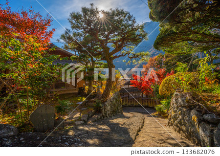 山梨縣早川町赤澤宿的紅葉 133682076