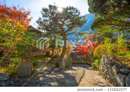 Autumn leaves at Akazawa-juku, Hayakawa Town, Yamanashi Prefecture 133682077