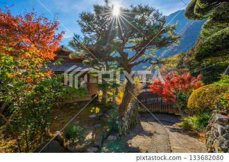 山梨縣早川町赤澤宿的紅葉 133682080