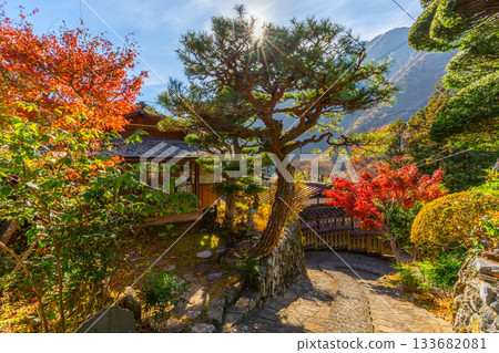 山梨縣早川町赤澤宿的紅葉 133682081