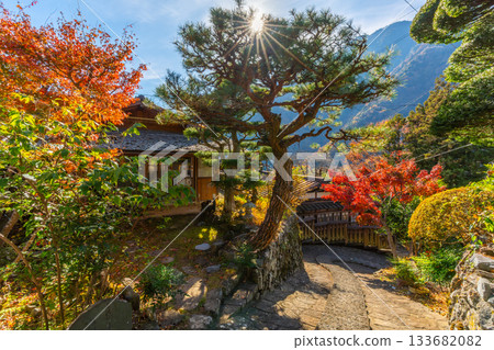 Autumn leaves at Akazawa-juku, Hayakawa Town, Yamanashi Prefecture 133682082
