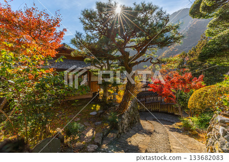 Autumn leaves at Akazawa-juku, Hayakawa Town, Yamanashi Prefecture 133682083