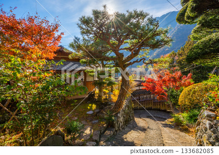 山梨縣早川町赤澤宿的紅葉 山梨縣早川町赤澤宿的紅葉 133682085