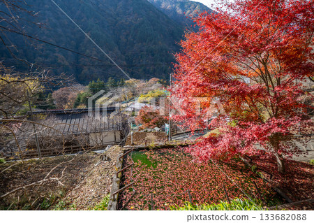 山梨縣早川町赤澤宿的紅葉 133682088