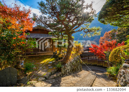 山梨縣早川町赤澤宿的紅葉 山梨縣早川町赤澤宿的紅葉 133682094