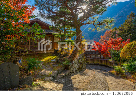 山梨縣早川町赤澤宿的紅葉 133682096