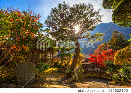 Autumn leaves at Akazawa-juku, Hayakawa Town, Yamanashi Prefecture 133682100