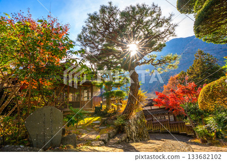 Autumn leaves at Akazawa-juku, Hayakawa Town, Yamanashi Prefecture Autumn leaves at Akazawa-juku, Hayakawa Town, Yamanashi Prefecture 133682102