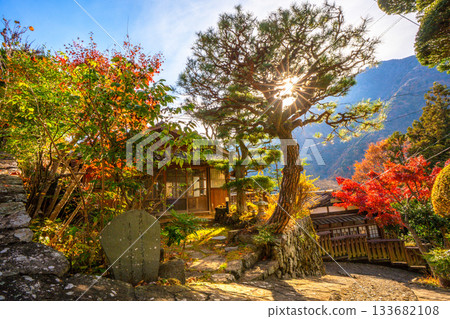 Autumn leaves at Akazawa-juku, Hayakawa Town, Yamanashi Prefecture Autumn leaves at Akazawa-juku, Hayakawa Town, Yamanashi Prefecture 133682108