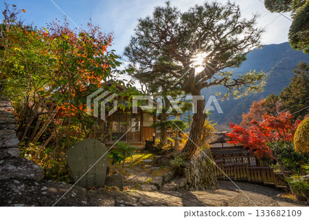 山梨縣早川町赤澤宿的紅葉 山梨縣早川町赤澤宿的紅葉 133682109