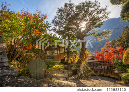 山梨縣早川町赤澤宿的紅葉 133682110