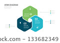 Hexagon venn diagram infographic template 3 area options business infograph vector illustration. 133682349