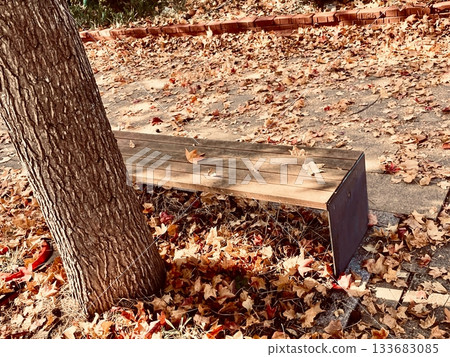 A bench in an autumn park with falling leaves A bench in an autumn park with falling leaves 133683085