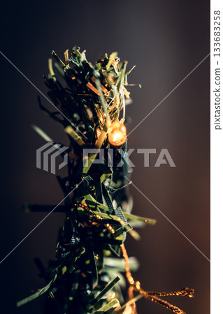 A close-up of the top of an artificial Christmas tree with warm, twinkling lights. The warm atmosphere of the Christmas holiday. A close-up of the top of an artificial Christmas tree with warm, twinkling lights. The warm atmosphere of the Christmas holiday. 133683258