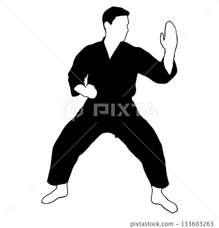 martial artist/karate 133683263