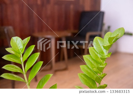 Seating inside the cafe or restaurant, with a plant in the foreground Seating inside the cafe or restaurant, with a plant in the foreground 133683315