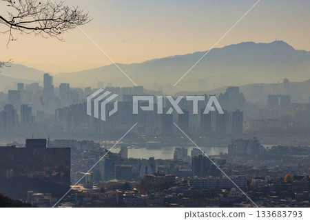 從南山公園眺望，晨霧籠罩下的城市景觀 133683793