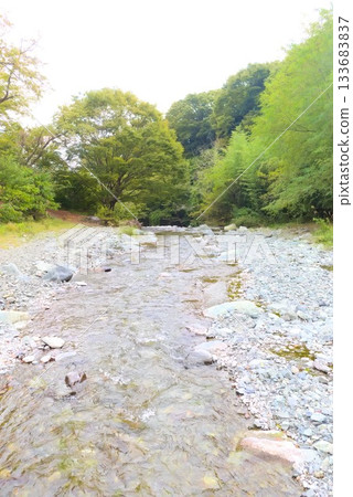 The clear waters of the Mizunashi River flowing beside the campsite The clear waters of the Mizunashi River flowing beside the campsite 133683837