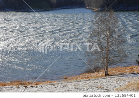 Early winter in Hokkaido: Strong winds cause choppy lake surface and lakeside forest 133684401