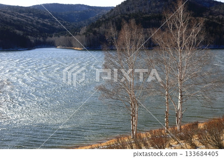 Early winter in Hokkaido: Strong winds cause choppy lake surface and lakeside forest 133684405
