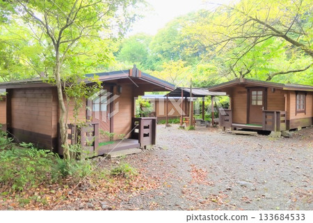 Campsite cottages and quiet accommodation area surrounded by forest 133684533