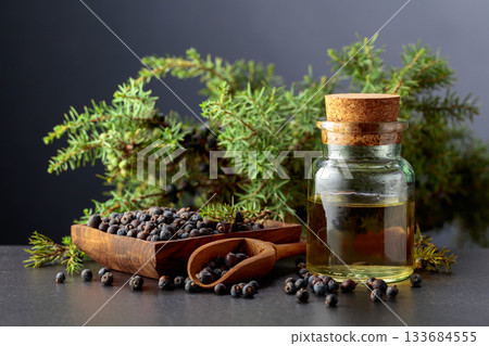 Juniper berry essential oil and branches with berries. 133684555