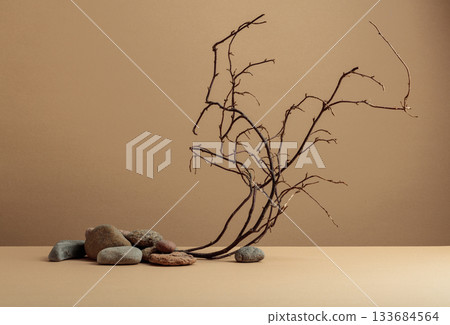 An intricately entwined branches and smooth stones against a beige background. An intricately entwined branches and smooth stones against a beige background. 133684564