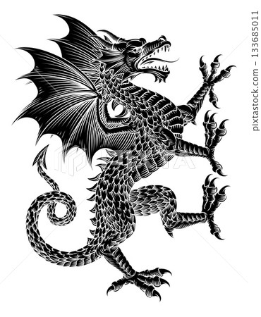 Dragon Coat of Arms Crest Shied Heraldic Animal Dragon Coat of Arms Crest Shied Heraldic Animal 133685011