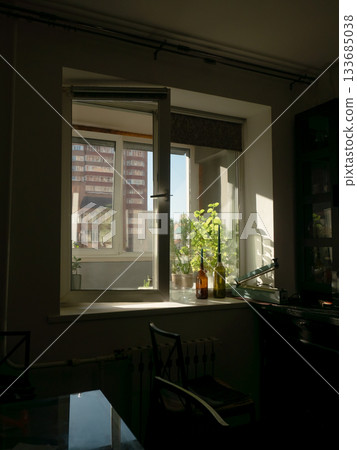 Sunny Window View with Plants and Urban Building Sunny Window View with Plants and Urban Building 133685038