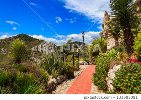 Walkway in exotic botanical garden in Eze village, French Riviera coast, France 133685081
