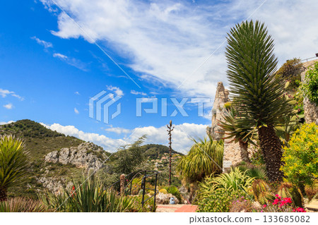 Exotic botanical garden in Eze village, French Riviera coast, France 133685082