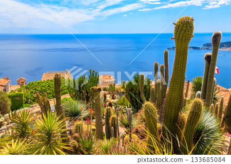 Scenic view of the Mediterranean coastline, medieval houses and exotic garden from the top of the medieval village of Eze village on the French Riviera Scenic view of the Mediterranean coastline, medieval houses and exotic garden from the top of the medieval village of Eze village on the French Riviera 133685084