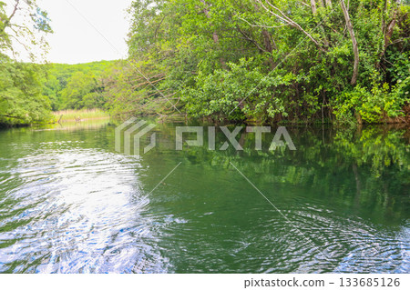 Crystal clear, green aquatic-plants full, waters of Sveti Naum (Saint Naum) springs on the Black Drim river near Ohrid lake, North Macedonia 133685126