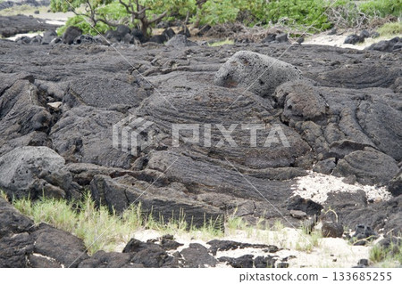 夏威夷大島上的熔岩圖案 133685255